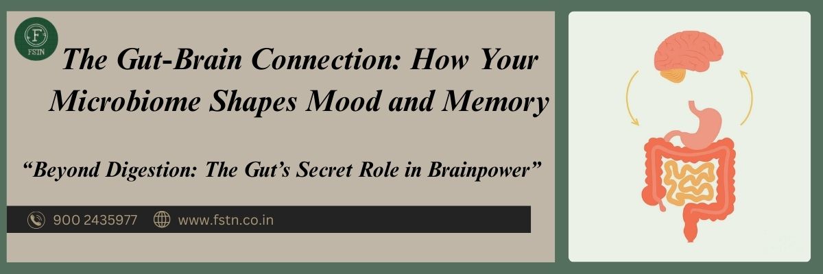 The Gut-Brain Connection: How Your Microbiome Shapes Mood and Memory