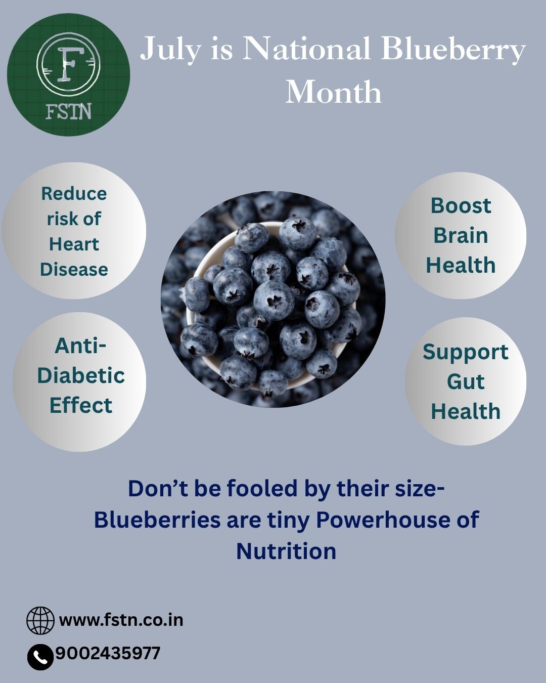 Celebrating Blueberry Month: A Sweet Tribute to a Superfruit