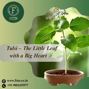 Tulsi – The Little Leaf with a Big Heart
